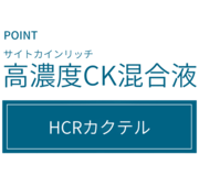 デザイン要素